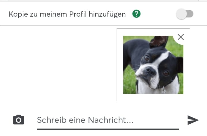 WhatsApp Image 2023-12-19 at 17.28.50.jpeg