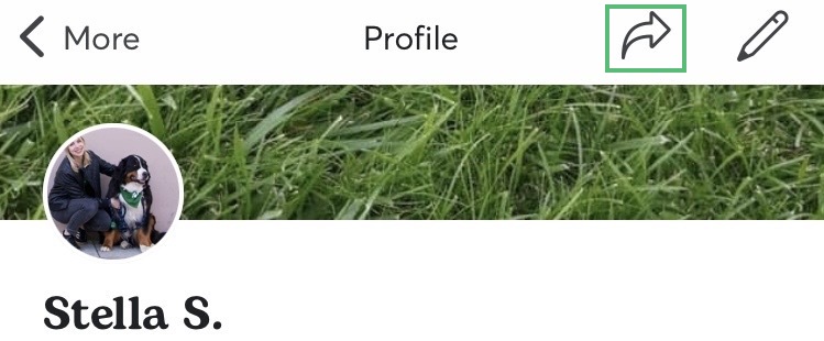 App iOS share profile DE.jpeg